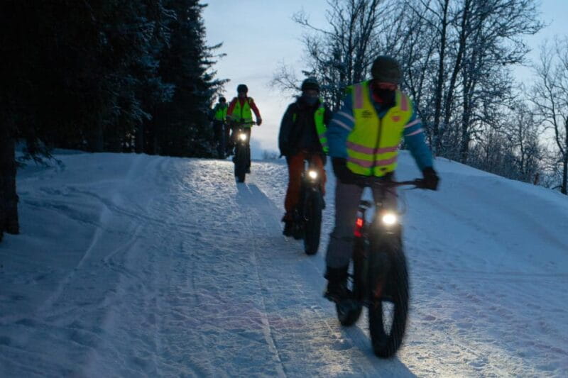 Tromsø: Electric fatbike trip on winter paths - Who Should Consider This Tour?