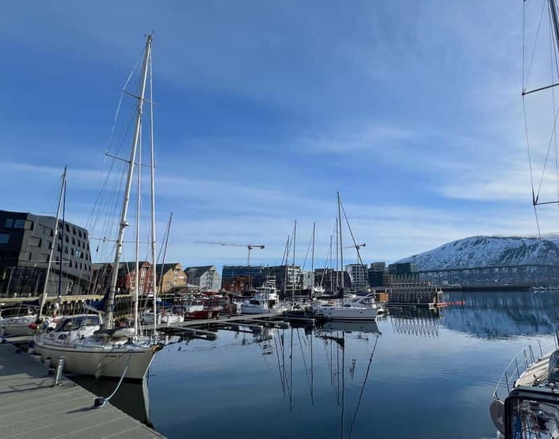 Tromsø: Evening City Walking Tour with Arctic Stories - Practicalities and Final Tips