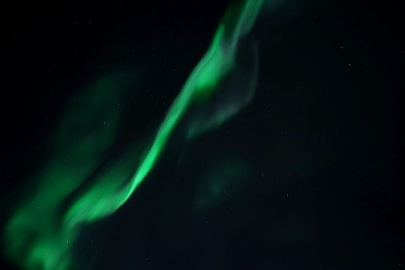 Tromsø: Evening Cruise with Northern Lights Opportunity - Key Points / Takeaways