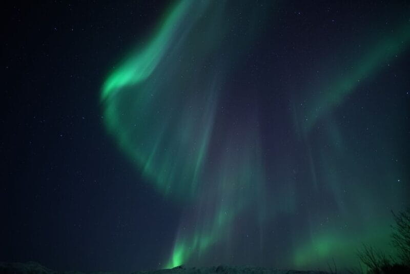Tromsø: Evening Cruise with Northern Lights Opportunity - Final Thoughts: Is It the Right Choice for You?
