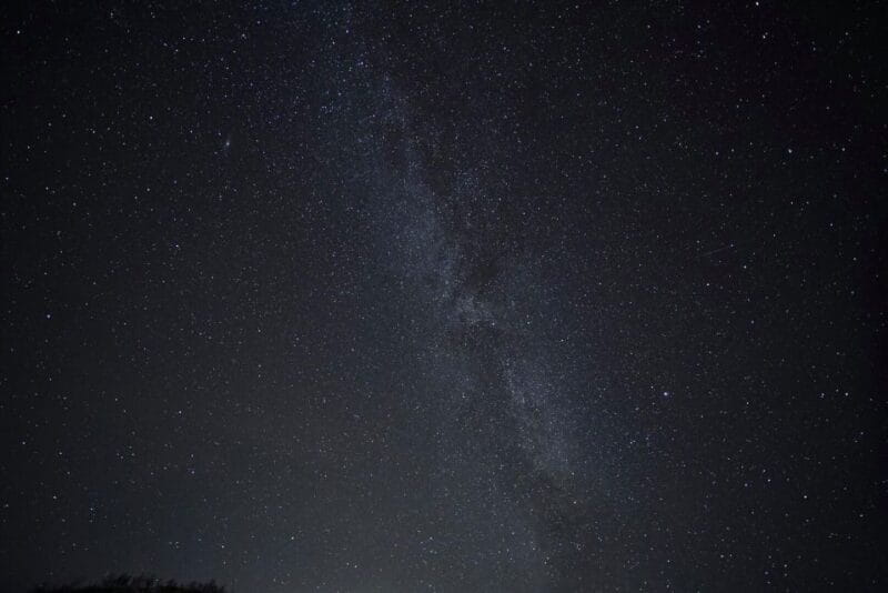 Tromsø: Evening Cruise with Northern Lights Opportunity - FAQ