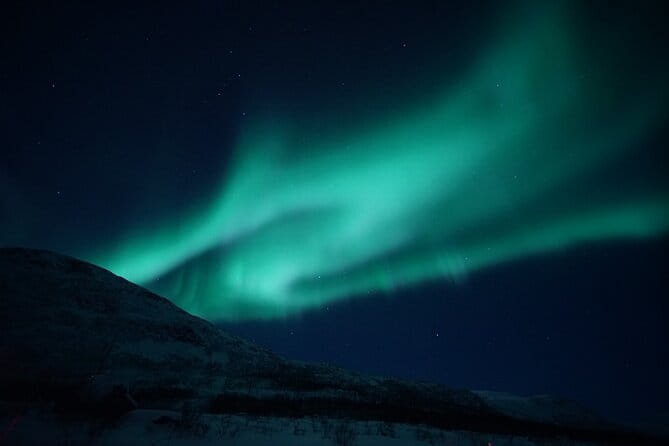 Tromsø: Evening Cruise with Northern Lights Opportunity - Key Points / Takeaways