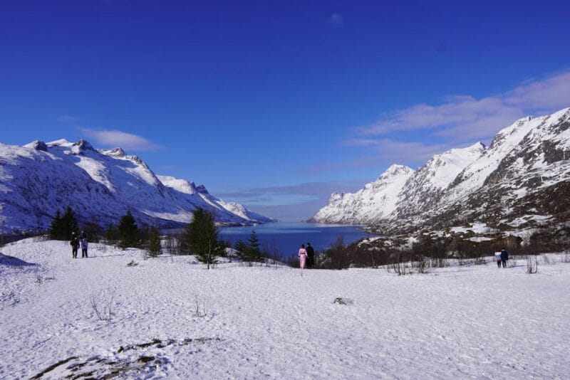 Tromsø: Exclusive Fjord Adventure by Bus - Discover the Arctic Beauty on Tromsø’s Fjord Bus Tour