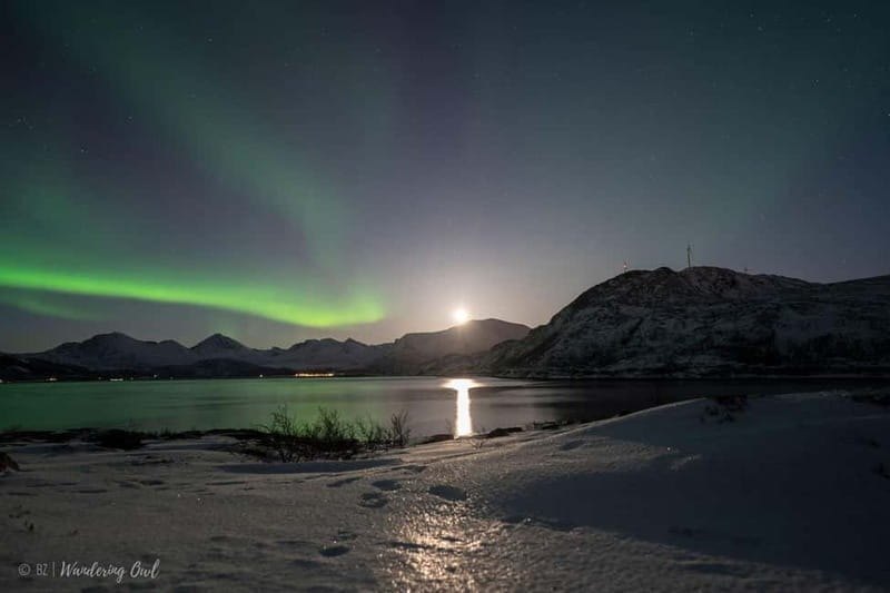 Tromsø: Express Aurora Hunt - Overview of the Tour Experience