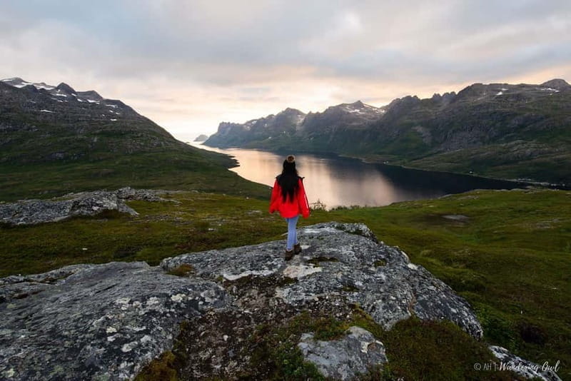 Tromsø: Express Summer Day Hike in the wilderness - An Authentic Arctic Hike: What to Expect on Your Three-Hour Adventure