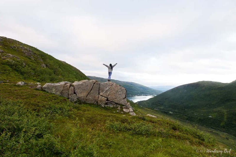 Tromsø: Express Summer Day Hike in the wilderness - Price and Logistics: Getting the Most Out of Your Investment