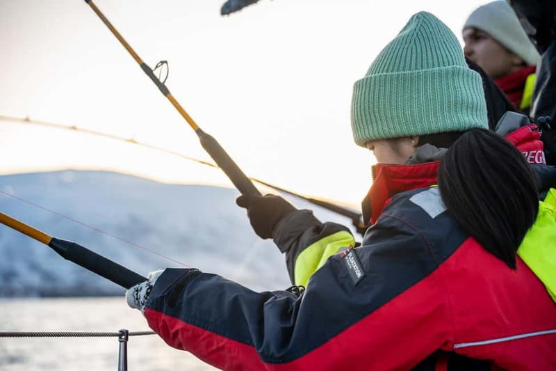 Tromsø: Fishing Sea Safari - Key points / Takeaways