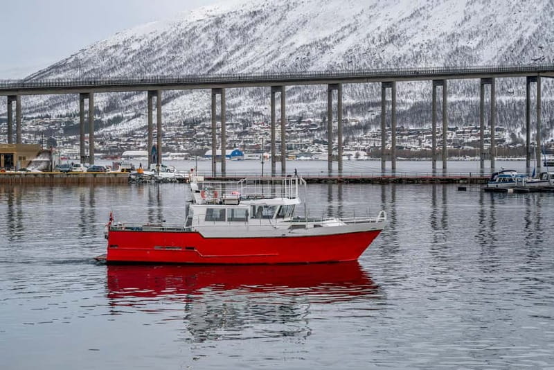 Tromsø: Fishing Sea Safari - FAQ