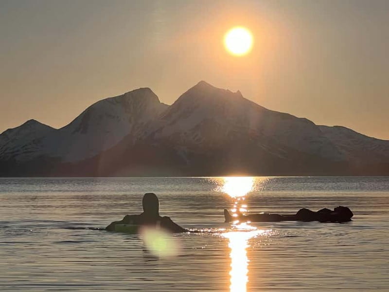Tromsø: Fjord and Floating Safari, Arctic Floating - The Value of This Arctic Experience