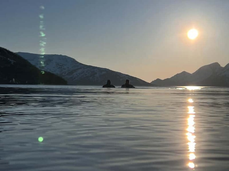 Tromsø: Fjord and Floating Safari, Arctic Floating - Summary