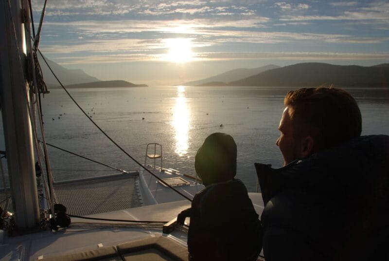 Tromsø: Fjord and Islands Luxury Catamaran Cruise - Key Points / Takeaways