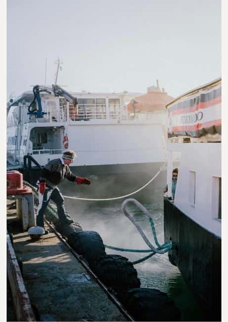 Tromsø: Fjord Cruise Around The Islands & Archipelago - Final Thoughts: Is It Worth It?