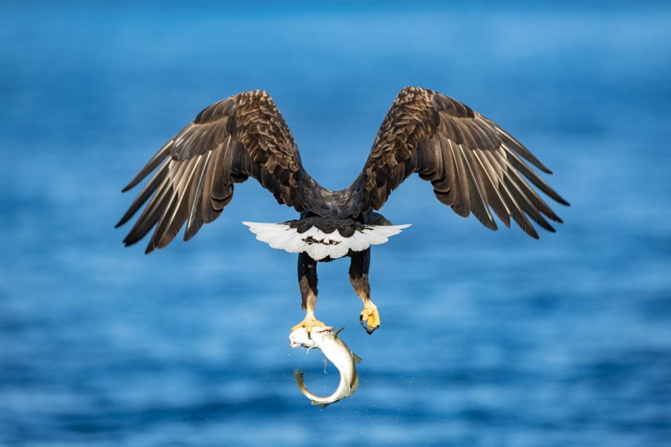 Tromsø: Fjord & History Cruise - Tour Schedule and Meeting Point