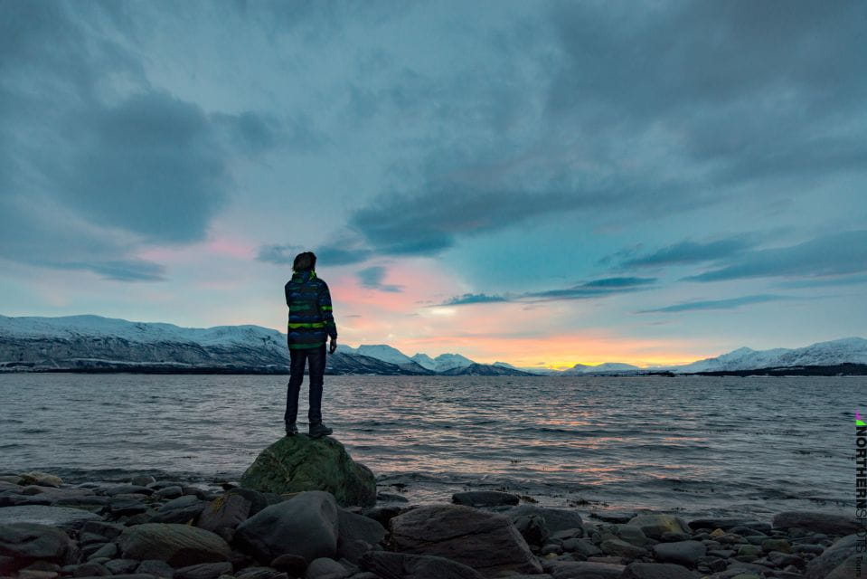 Tromsø: Fjord Photo Tour by Minibus - Key Points