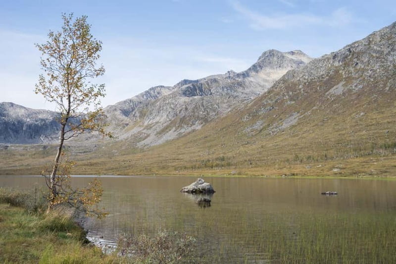 Tromsø: Fjord Tour and Visit to Sommarøy with Expert Tour Guide in Italian - Final Thoughts