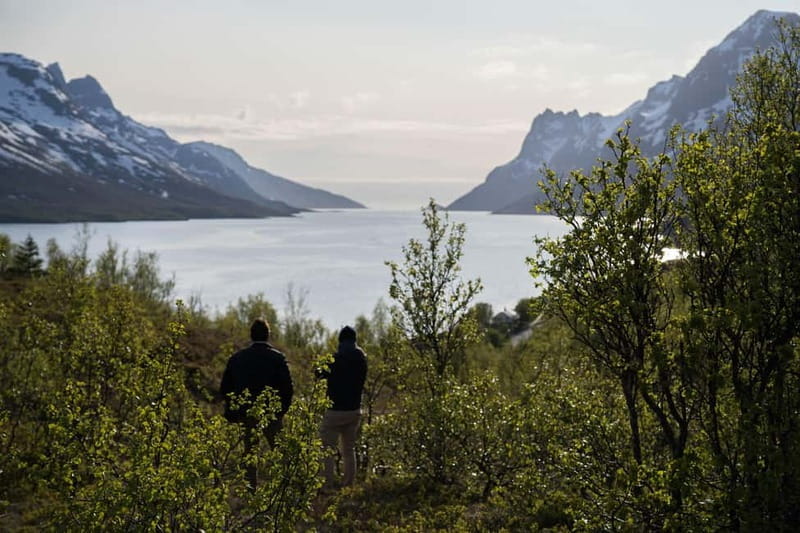 Tromsø: Fjord Tour to Sommarøy with Expert Guide in Spanish - Who This Tour Is Perfect For