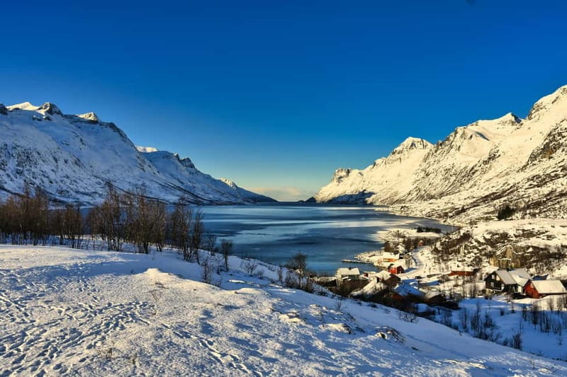 Tromsø: Fjords and Sommarøy Tour with Local Lunch - Who Will Love This Tour