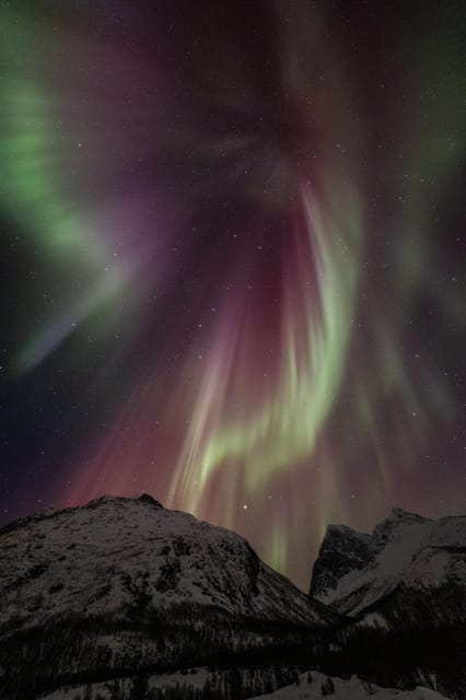 Tromsø: Fjords & Beaches Tour with campfire and photos - Price and Logistics Breakdown