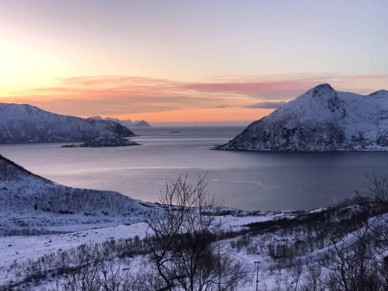 Tromsø: Fjords & Beaches Tour with campfire and photos - Final Thoughts