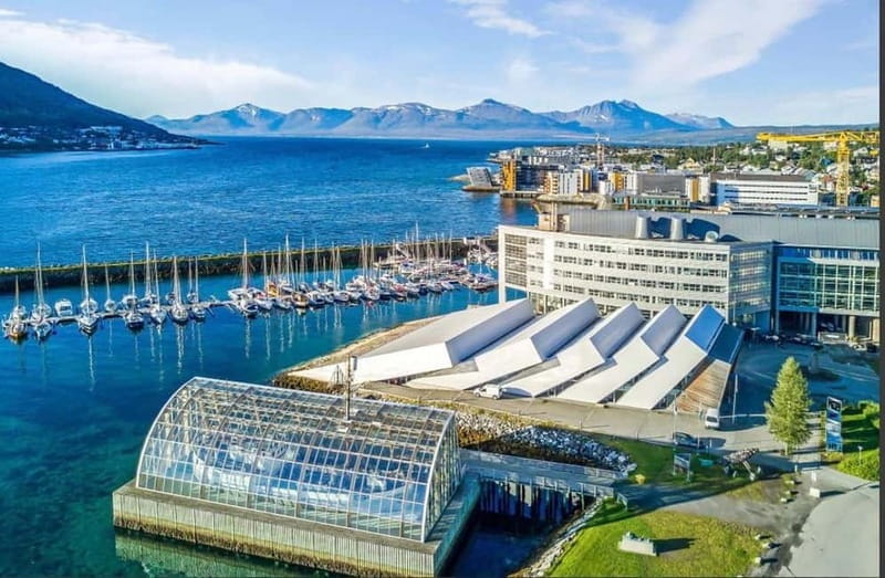 Tromsø: Fjords, Mountains and City Highlights Day Tour - Who Will Love This Tour?