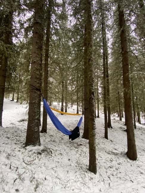 Tromsø: Forest escape adventure - The Final Verdict: An Refreshing, Authentic Arctic Adventure