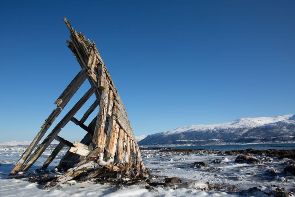 Tromso: Guided Fjord Expedition & Kvaloya Island With Lunch - Included Features