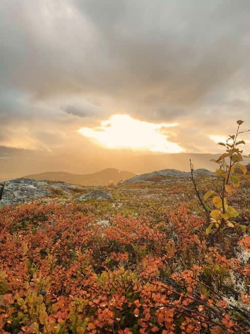 Tromsø: Guided Hiking Tour with Roundtrip Transfers - Final Thoughts