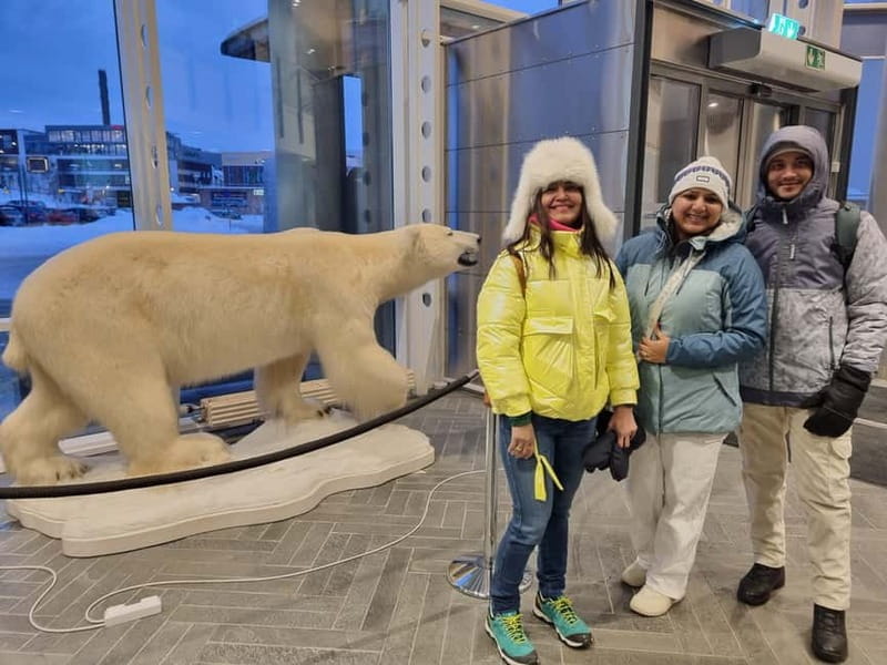 Tromsø: Guided Polar Bear Walk incl. Polaria & Polar Museum - Key Points / Takeaways