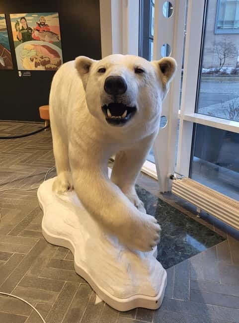 Tromsø: Guided Polar Bear Walk incl. Polaria & Polar Museum - Who This Tour Is Perfect For