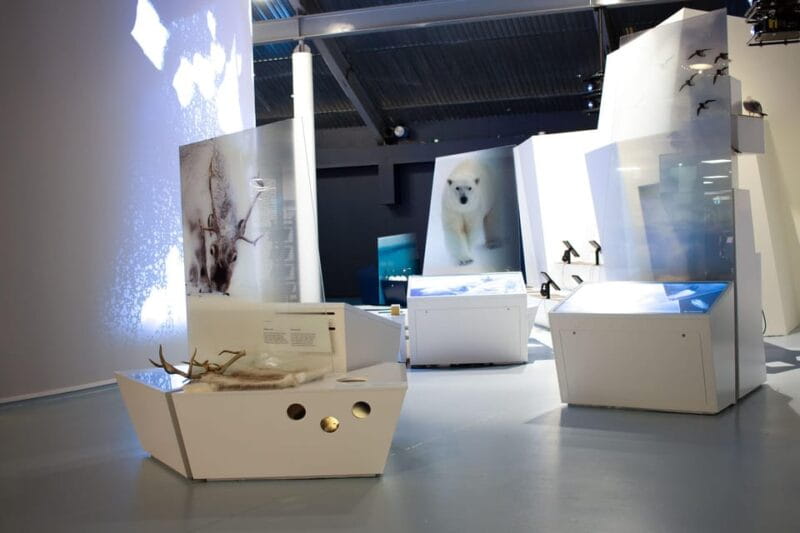 Tromsø: Guided Tour of Polaria - The Sum Up: A Thoughtful Arctic Encounter