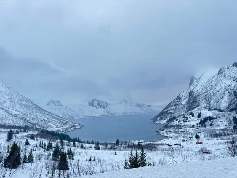 Tromsø Half-Day Tour: Fjords & Sommarøy Adventure - Key Points / Takeaways