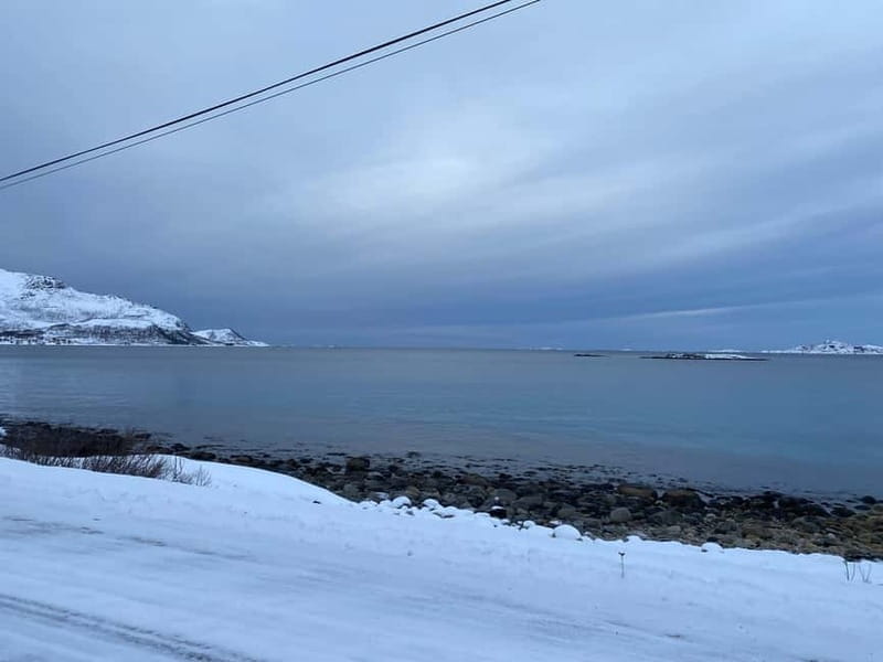 Tromsø Half-Day Tour: Fjords & Sommarøy Adventure - Exploring Tromsø’s Fjords and Beyond: A Deep Dive