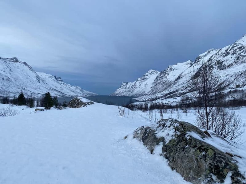 Tromsø Half-Day Tour: Fjords & Sommarøy Adventure - Who Would Love This Tour?