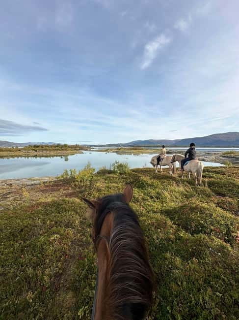 Tromsø: Horseback Riding Tour - Exploring Tromsøs Horseback Riding Tour: Authentic Norwegian Countryside on Horseback