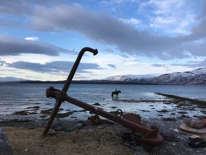 Tromsø: Horseback Riding Tour - Key Points / Takeaways