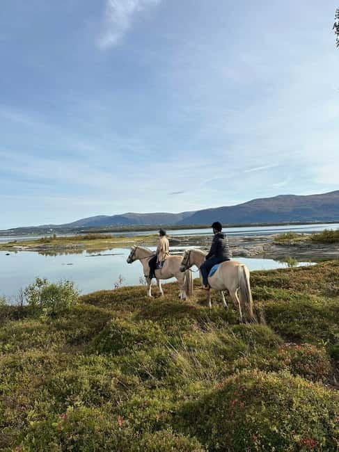 Tromsø: Horseback Riding Tour - Why This Tour Offers Great Value