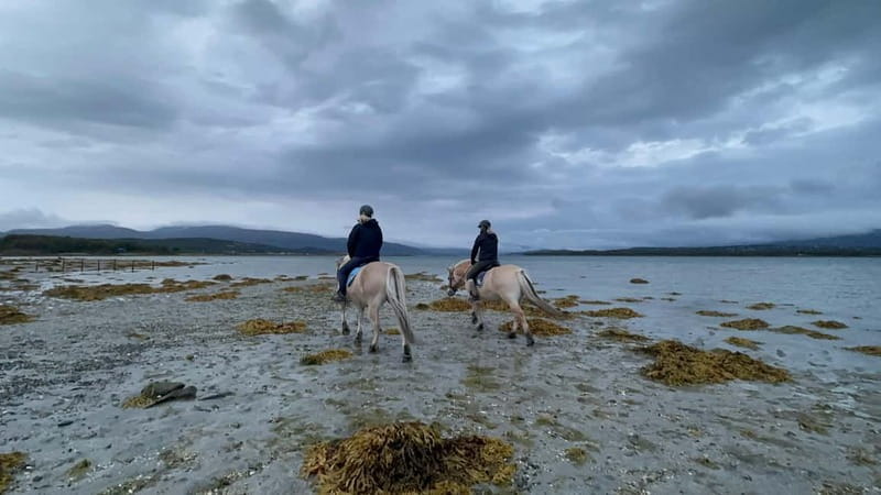 Tromsø: Horseback Riding Tour - The Sum Up: A Genuine Norwegian Wilderness Experience