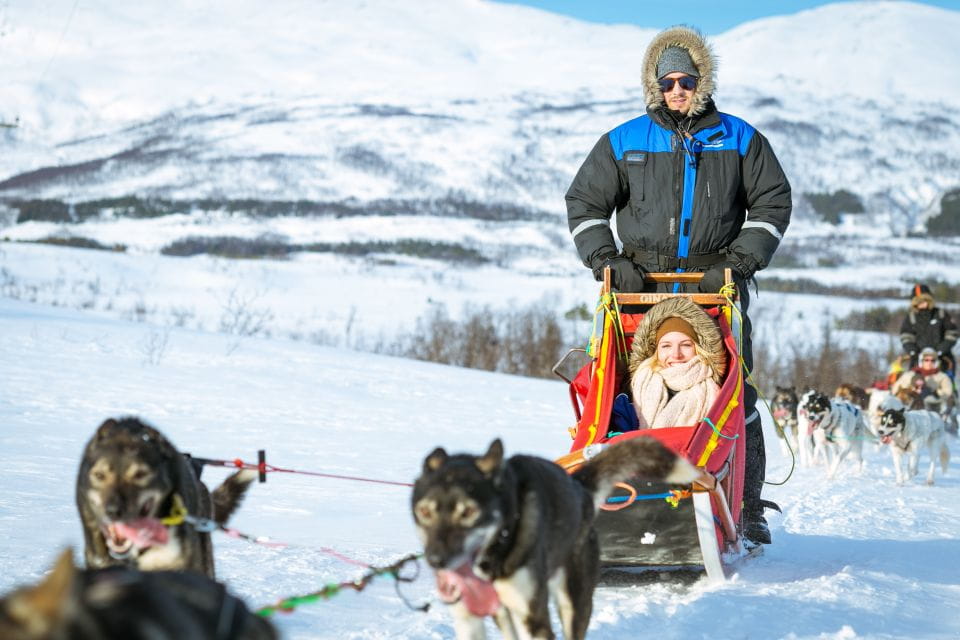 Tromsø: Husky Sled Self-Drive With Traditional Lunch - Sled Ride Through the Arctic