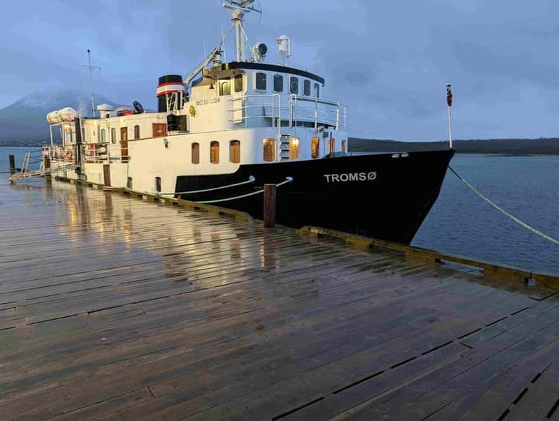 Tromsø: Incredible Cruise of The Outer Fjord - Key points / Takeaways