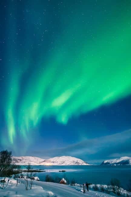 Tromsø: Incredible Cruise of The Outer Fjord - Price and Logistics: Is It Worth It?