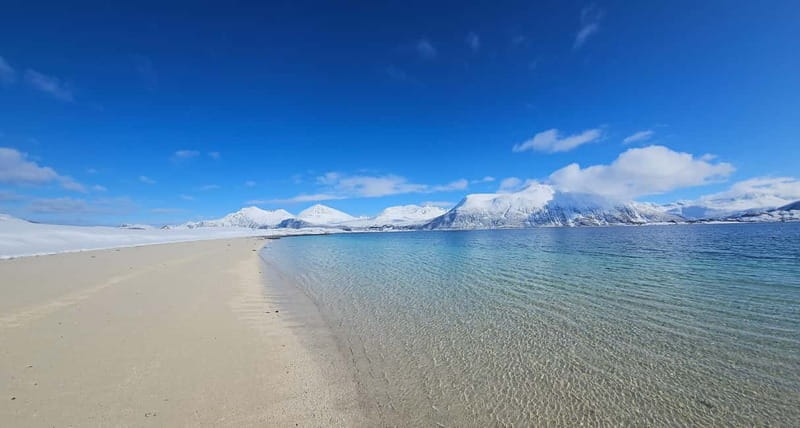 Tromsø: Kvaløya and Sommarøy Guided Tour with Lunch - What Makes This Tour Stand Out?