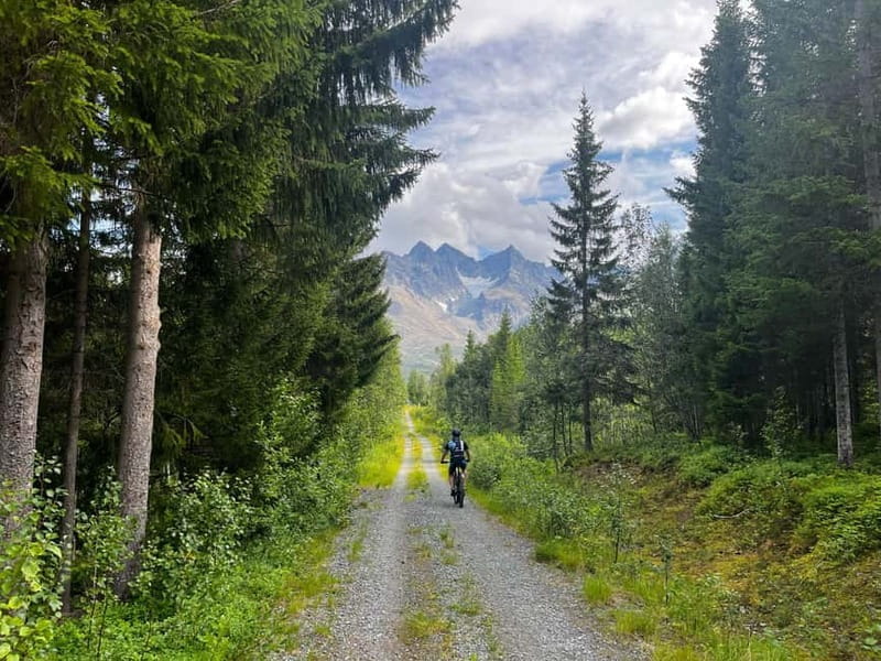 Tromsø: Lyngen Alps Electric Mountain Bike Tour - Key points / Takeaways