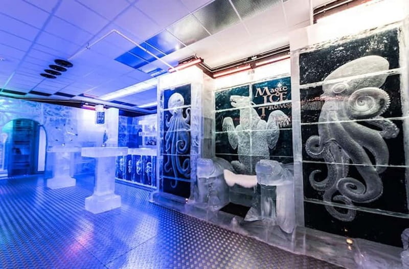 Tromsø: Magic Ice Bar Entrance and Welcome Drink - Who Will Love This Experience?