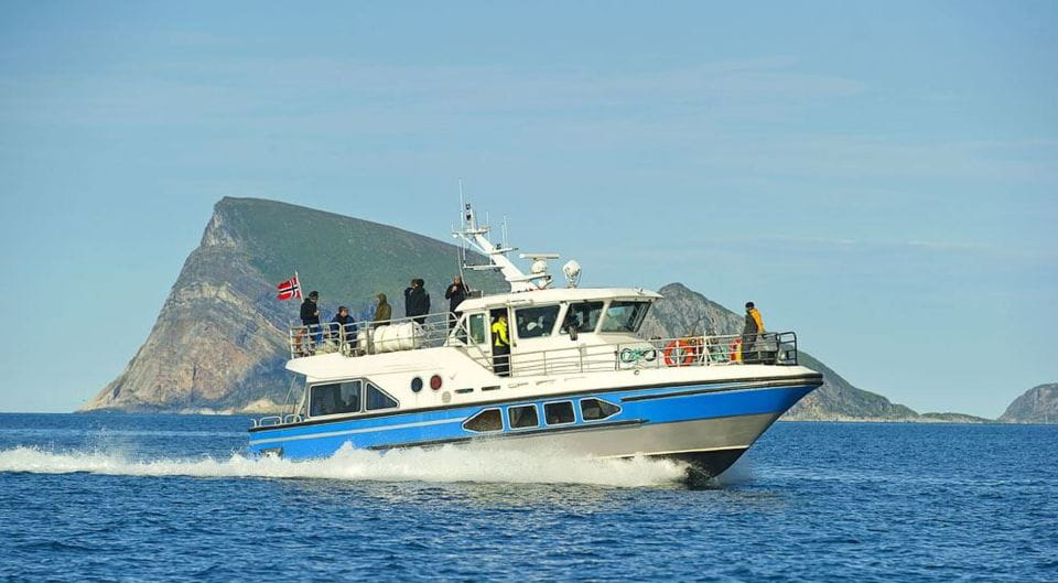 Tromsø: Midnight Cruise - Key Points