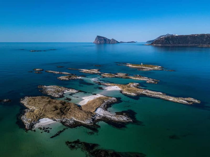 Tromsø: Midnight Fjord Tour - Flexibility and Weather Considerations