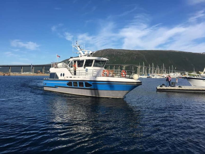 Tromsø: Midnight Sightseeing Cruise All-inclusive - Price and Logistics: Is It Worth It?