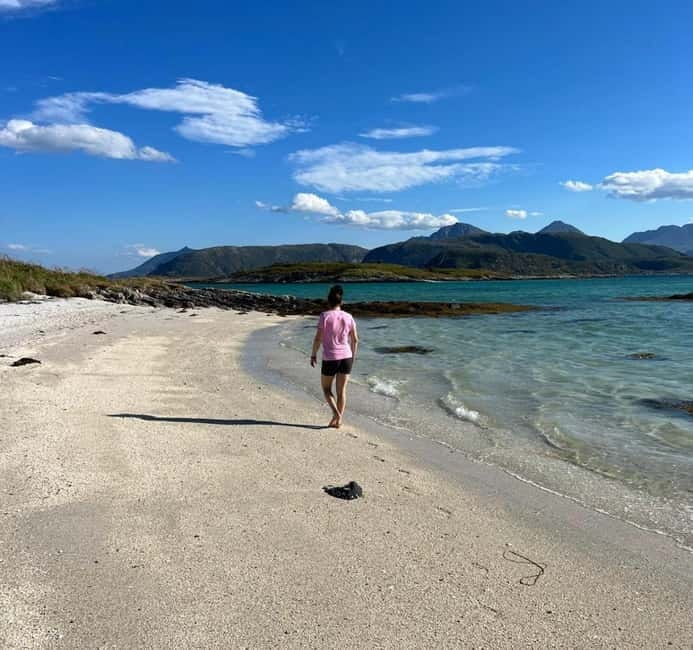 Tromsø: Midnight Sun Adventure Tour - Key points / Takeaways