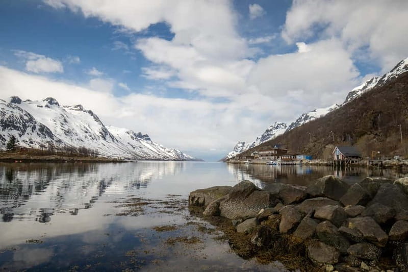 Tromsø: Midnight Sun Adventure with Lunch and Photos - Price & Value