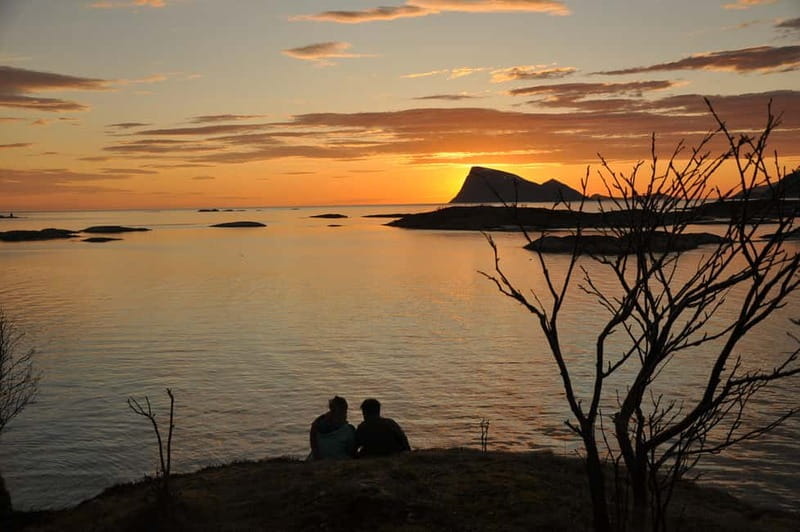 Tromsø: Midnight Sun, Campfire, Beach, Evening Tour - An Arctic Evening Like No Other