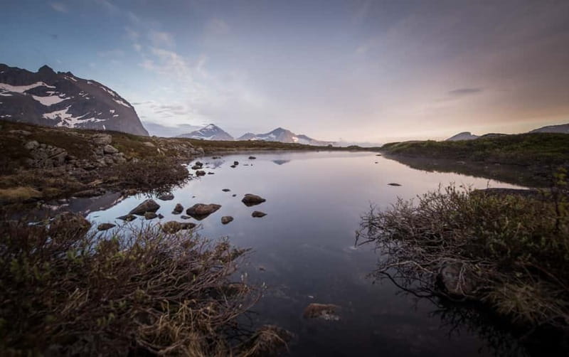 Tromsø: Midnight Sun Hike in the wilderness - Discovering Tromsøs Arctic Wilderness by Night